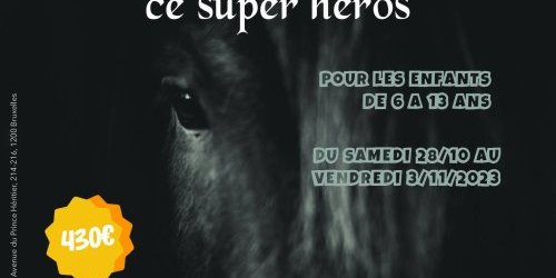 LE CHEVAL, CE SUPER HÉROS - SÉJOUR AUTOMNE